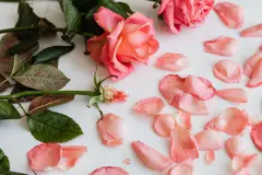 Bảo hành và đổi trả Đồ chơi kích hậu: cần biết trước điều gì?