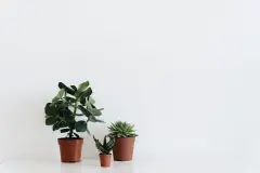 Bắt đầu với Quản lý tài chính cá nhân như thế nào cho đúng?
