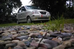 Cách chọn Trứng rung tình yêu êm, hạn chế tiếng ồn