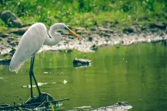 Miệng, hậu môn giả là gì? Giải thích dễ hiểu cho người chưa từng dùng