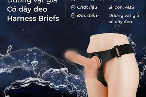 Bảo hành và đổi trả Dương vật giả quần lót: cần biết trước điều gì?