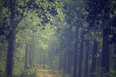 Hỏi đáp nhanh về Lái xe an toàn