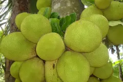 Du lịch Đà Lạt: những nhầm lẫn phổ biến nhất