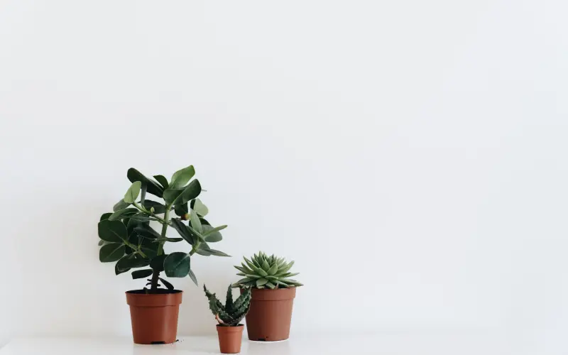 Hỏi đáp nhanh về Quản lý tài chính cá nhân