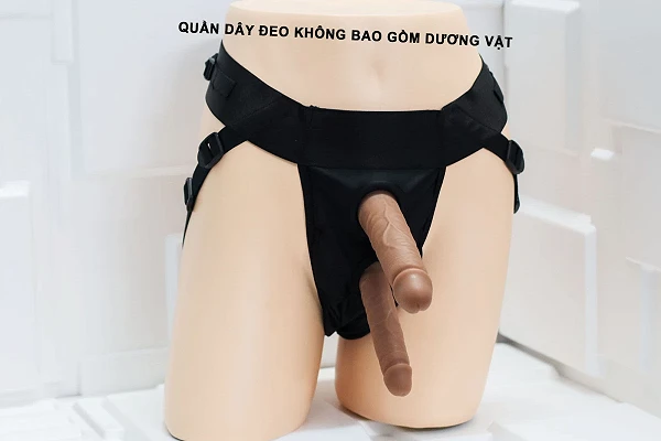 Những hiểu lầm phổ biến về Dương vật giả quần lót