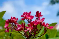 Du lịch Đà Nẵng - Hội An: những nhầm lẫn phổ biến nhất