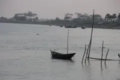 Lưỡi liếm rung xoay bú mút có an toàn cho sức khỏe không?