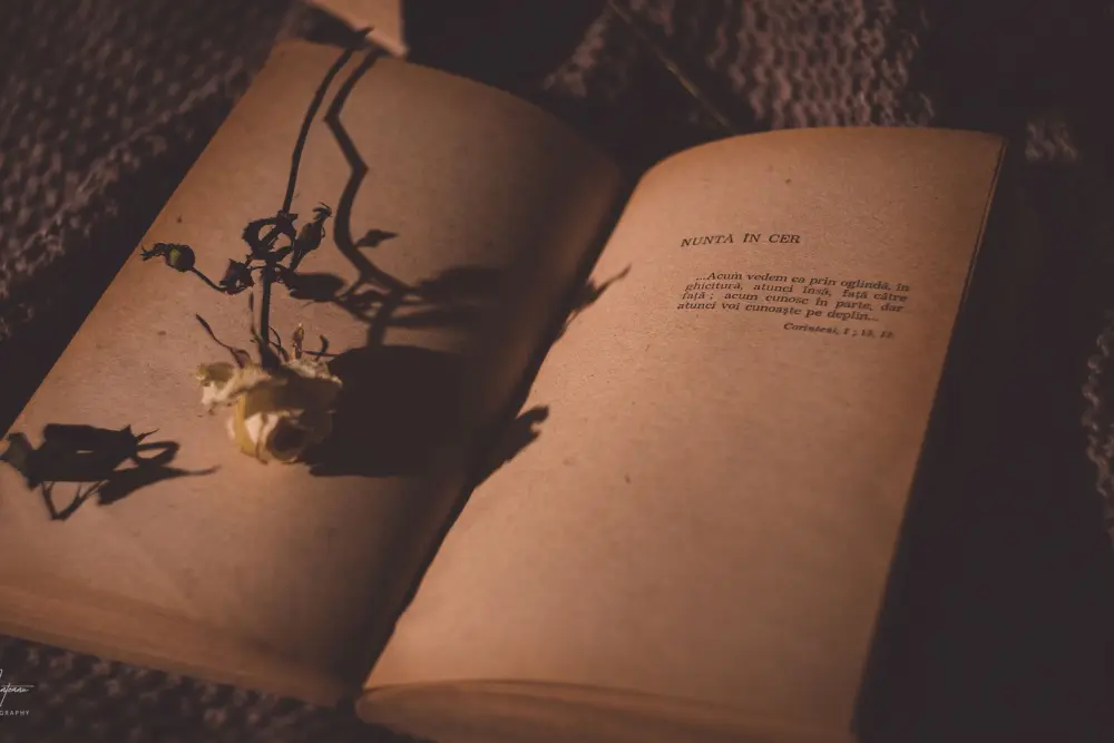 Những sai lầm thường gặp khi dùng Vòng đeo dương vật