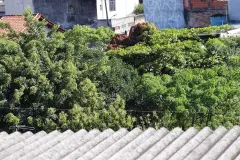 Mua và nhận Miệng, hậu môn giả kín đáo: quy trình diễn ra thế nào?