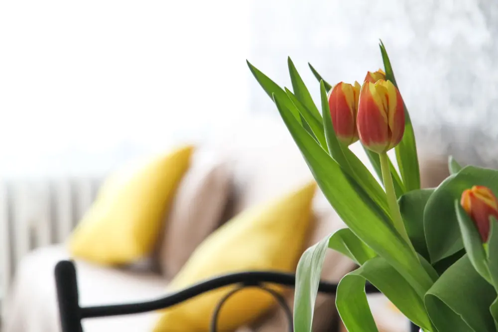 Mua xe cũ dưới góc nhìn thực tế