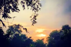 Đồ chơi kích hậu là gì? Giải thích dễ hiểu cho người chưa từng dùng