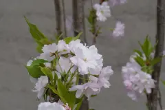 Hỏi đáp nhanh về Sức khỏe tinh thần